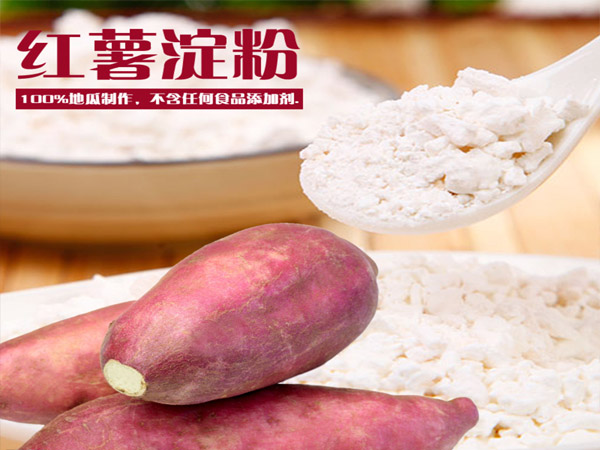 蘇州中國(guó)花卉植物園 蘇州中國(guó)花卉植物園