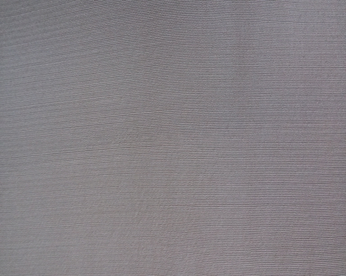 日本早櫻 日本早櫻