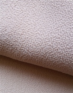 棗樹(shù) 棗樹(shù)