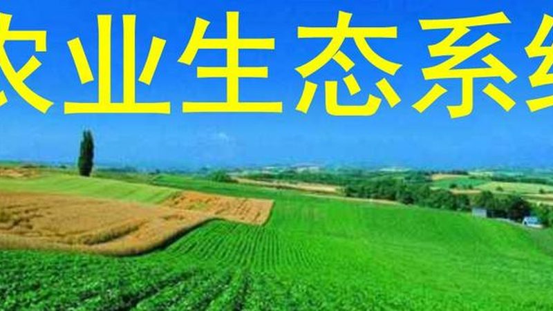 新疆水果種植降水量主要包括以下幾種類型：